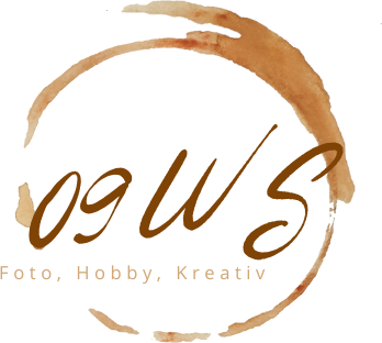09Ws, Wiesenthal, Thomas Wiesenthal, 09Ws-Homepage